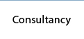 consultancy